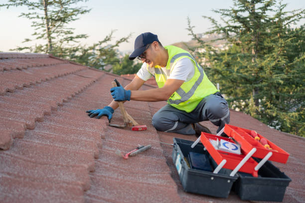 Best Roof Maintenance Services  in French Mp, CA